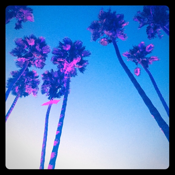 Meet your Posher, Lisa - Picture 1 of 1